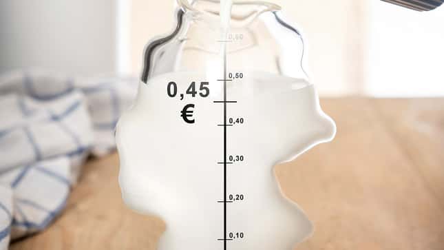 Jahresmilchpreis 2023: Deutliche Abschläge beim Milchgeld