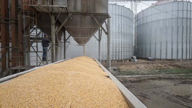 Ukrainischer Landwirt: „Getreideverkauf nach Deutschland lohnt derzeit kaum“