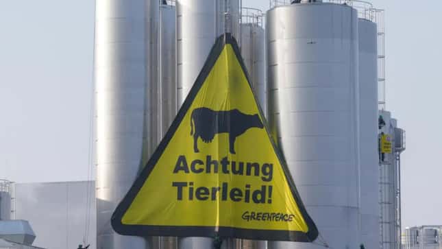 Greenpeace-Aktivisten erklimmen Molkereisilos in NRW