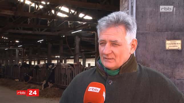Im Krisenmodus: Ökodorf Brodowin stoppt Milchproduktion