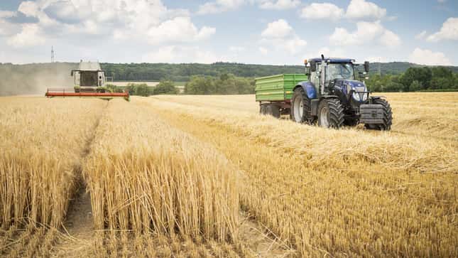 Hohe Getreidepreise: Wird die GAP im Ackerbaubetrieb jetzt unattraktiv? 