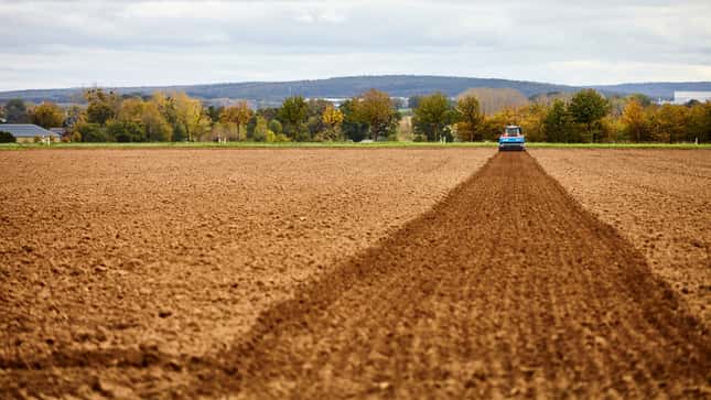 So wollen RWZ und BASF Landwirte für CO2-armen Weizen entlohnen