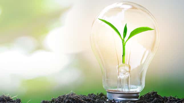 Grüne Start-ups: aktiv bei Energiewende und Kreislaufwirtschaft